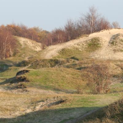 Zeepeduinen
