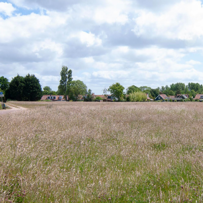 Beeldkwaliteitplan ringwalburg