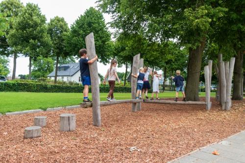 Voorbeeld van een speeltoestel. Balanceren op houten balken.